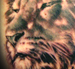 Tattoos - LION HEAD !! - 21562